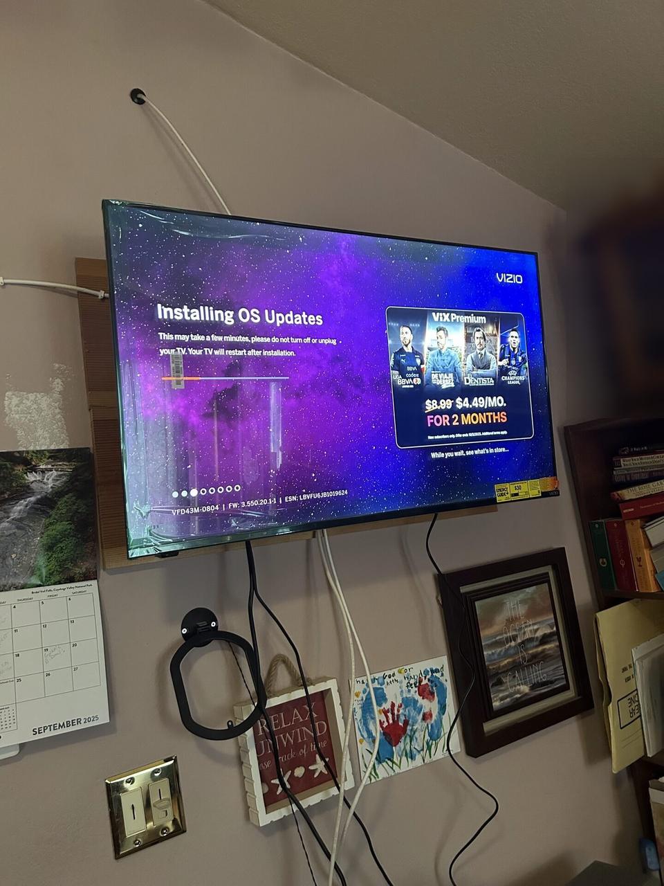 TV mounting and display setup work during TV service preparation documented for a smart technology service call